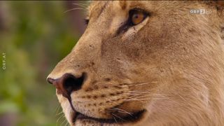 35. Планета Земля 2 (2016)