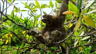 36. Планета Земля 2 (2016)