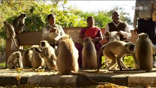 37. Планета Земля 2 (2016)