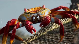 38. Планета Земля 2 (2016)