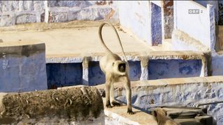 43. Планета Земля 2 (2016)