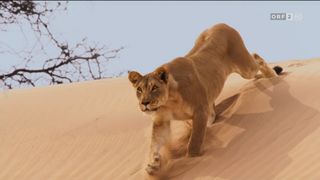 46. Планета Земля 2 (2016)