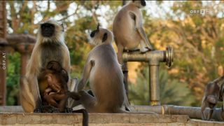 52. Планета Земля 2 (2016)