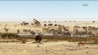 56. Планета Земля 2 (2016)