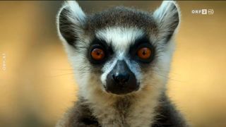 57. Планета Земля 2 (2016)