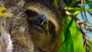 58. Планета Земля 2 (2016)