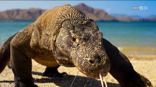 59. Планета Земля 2 (2016)