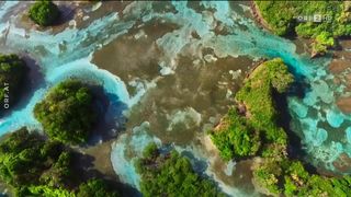 64. Планета Земля 2 (2016)