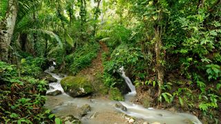 66. Планета Земля 2 (2016)