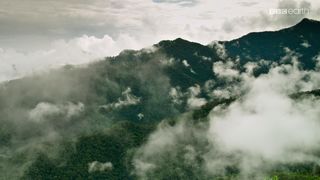 68. Планета Земля 2 (2016)