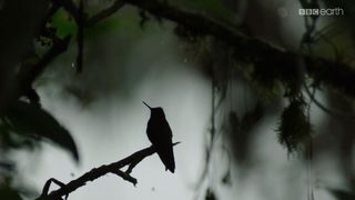 71. Планета Земля 2 (2016)