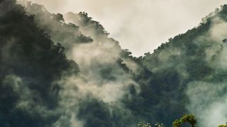 72. Планета Земля 2 (2016)