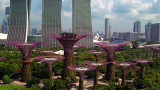 75. Планета Земля 2 (2016)