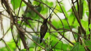 83. Планета Земля 2 (2016)