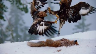 86. Планета Земля 2 (2016)