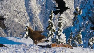 87. Планета Земля 2 (2016)