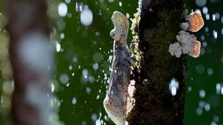 89. Планета Земля 2 (2016)