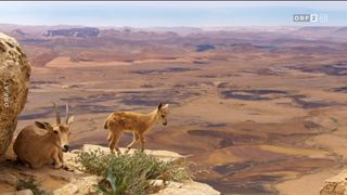 9. Планета Земля 2 (2016)