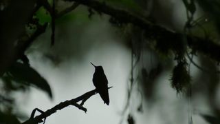 90. Планета Земля 2 (2016)