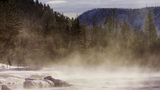 93. Планета Земля 2 (2016)