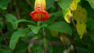 99. Планета Земля 2 (2016)