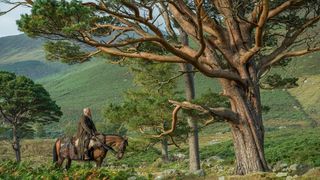 37. Викинги (2013 - ...)