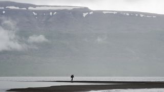 11. Территория (2014)