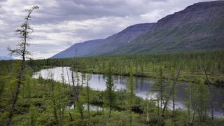 24. Территория (2014)