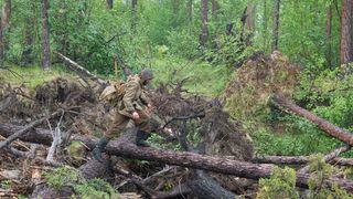 41. Территория (2014)