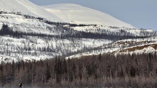 88. Территория (2014)