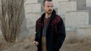 45. Во все тяжкие (2008 - 2013)