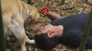 109. Остаться в живых (2004 - 2010)