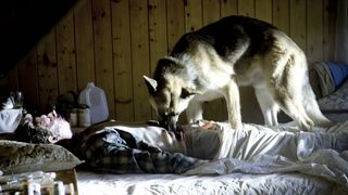 14. Носители (2008)