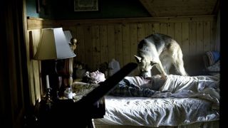 8. Носители (2008)