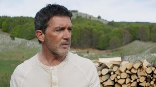 30. Черная бабочка (2017)
