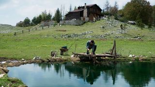 31. Черная бабочка (2017)