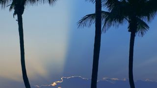 66. Я люблю тебя, Филлип Моррис (2008)