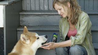 11. Хатико: Самый верный друг (2008)