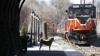 16. Хатико: Самый верный друг (2008)