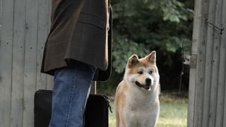 24. Хатико: Самый верный друг (2008)