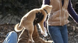 39. Хатико: Самый верный друг (2008)