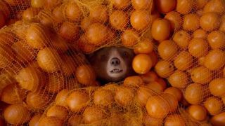 87. Приключения Паддингтона 2 (2017)