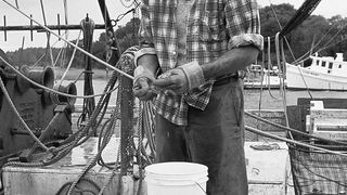 58. Форрест Гамп (1994)