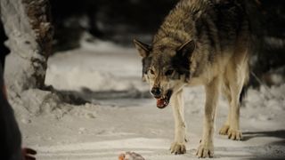 15. Замёрзшие (2010)