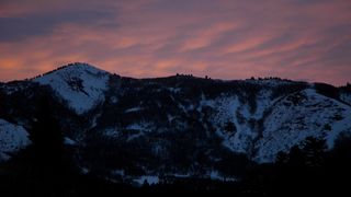 24. Замёрзшие (2010)