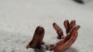 53. Замёрзшие (2010)