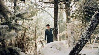 34. Хроники Нарнии: Лев, колдунья и волшебный шкаф (2005)