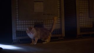 81. Голодные игры: Сойка-пересмешница. Часть I (2014)