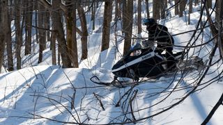 12. Черный дрозд (2011)