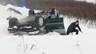 24. Черный дрозд (2011)